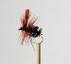 DRY Geehi Beetle - 1 dozen